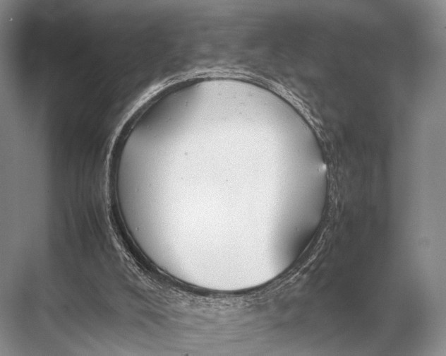 X0000067870008200605041819