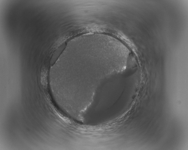 X0000067870009200605041819