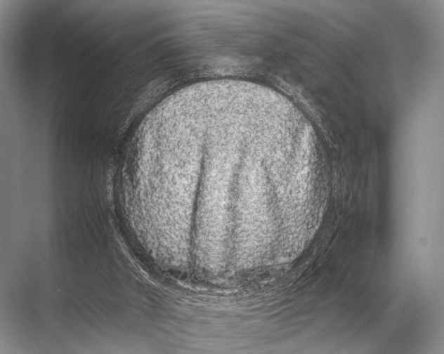 X0000067870010200605041819