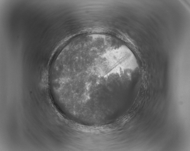 X0000067870012200605041819