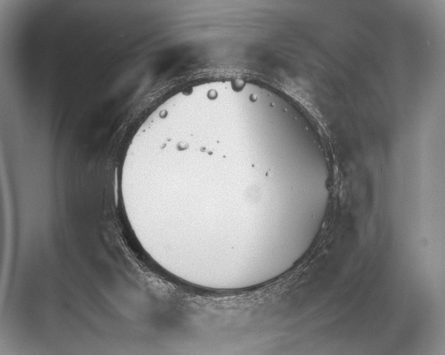 X0000067870013200605041819