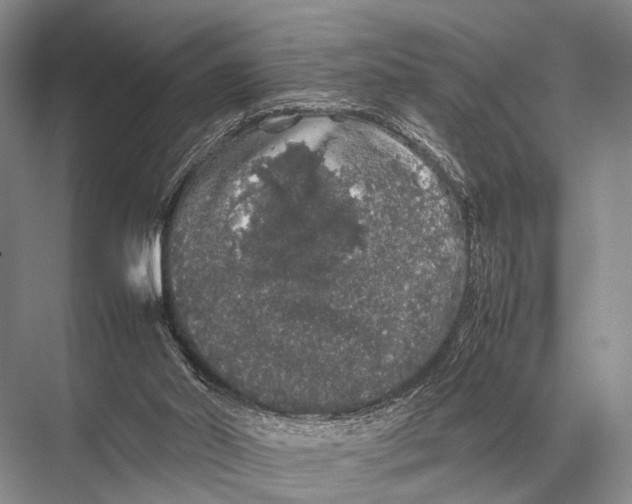 X0000067870014200605041819