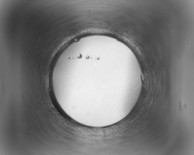 X0000067870015200605041819