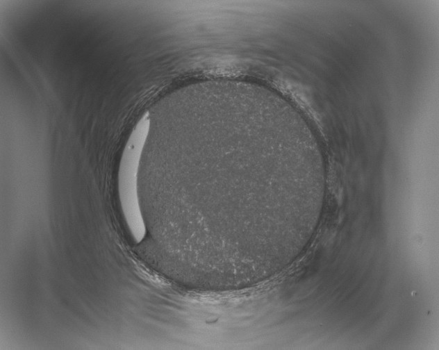 X0000067870017200605041819