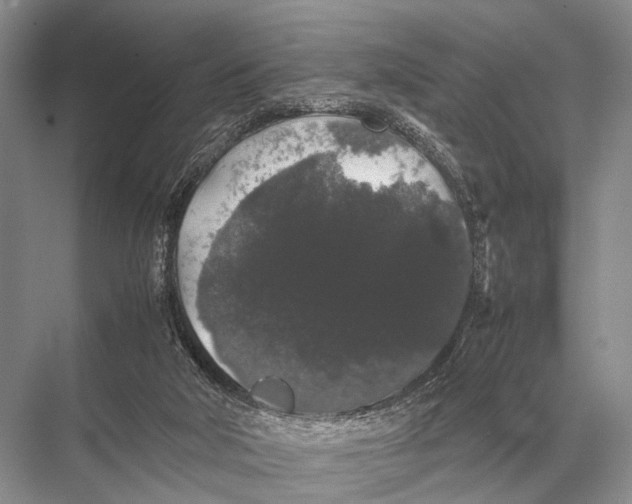 X0000067870018200605041819