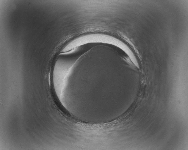 X0000067870019200605041819