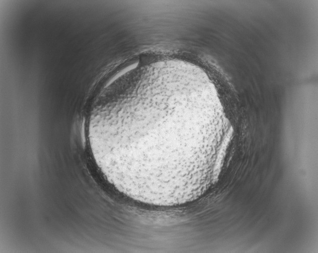 X0000067870020200605041819