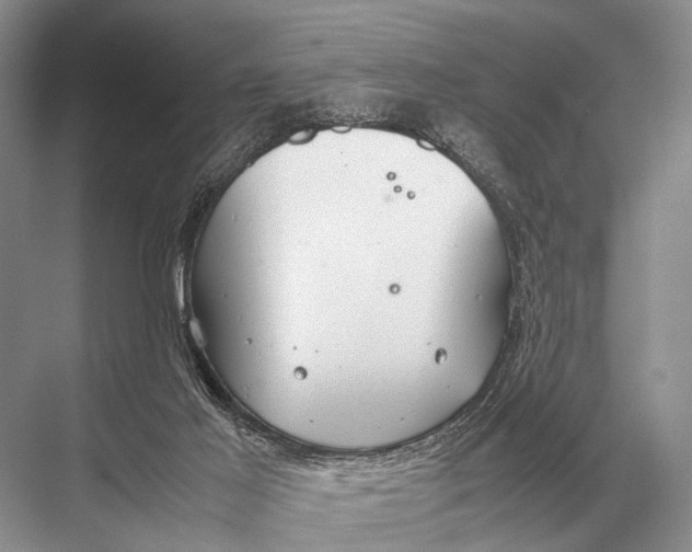 X0000067870021200605041819