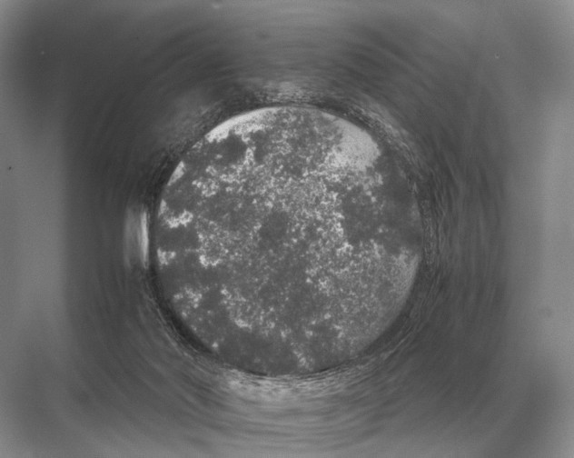 X0000067870022200605041819