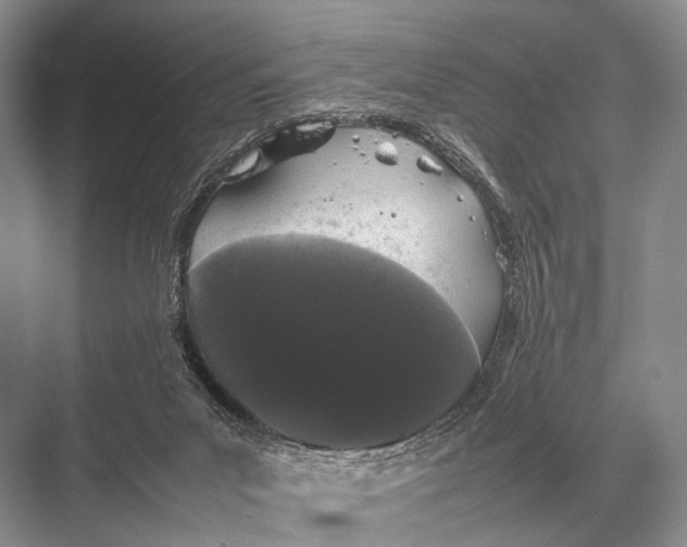 X0000067870023200605041819