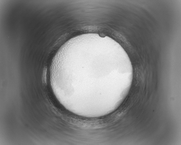 X0000067870024200605041819