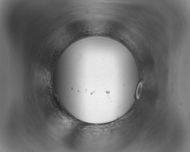 X0000067870025200605041819