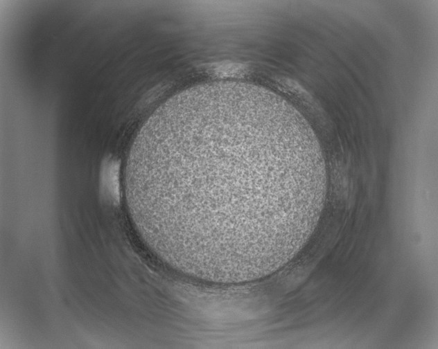 X0000067870028200605041819