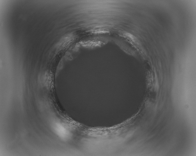 X0000067870029200605041819