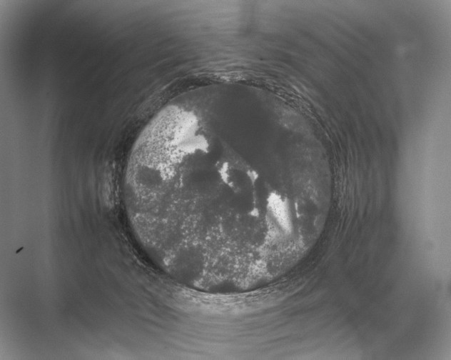 X0000067870030200605041819