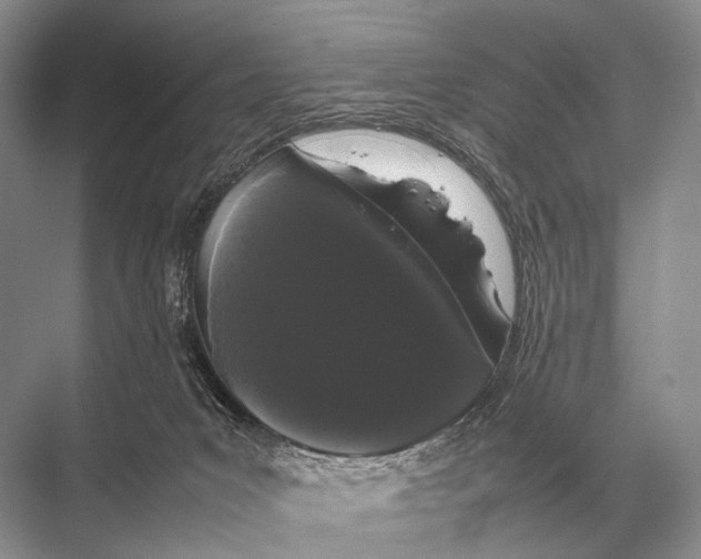 X0000067870031200605041819