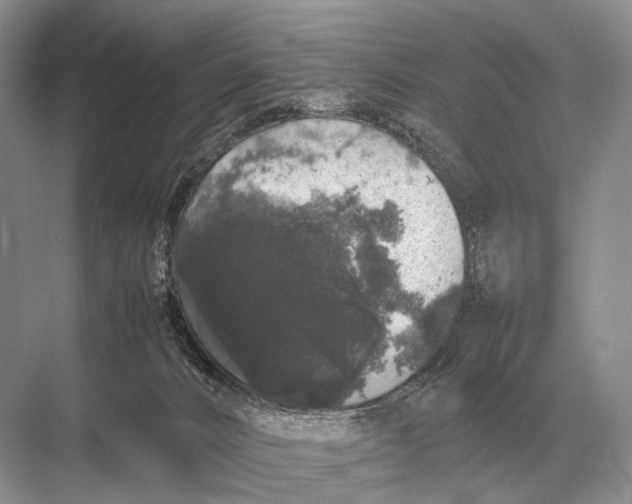 X0000067870032200605041819