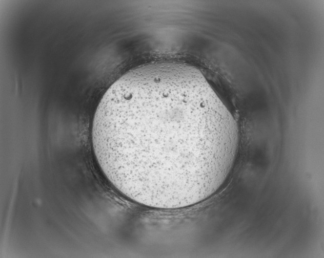 X0000067870033200605041819