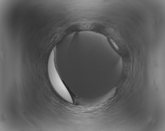 X0000067870035200605041819