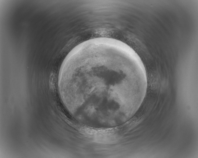 X0000067870036200605041819