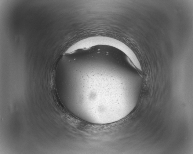 X0000067870037200605041819