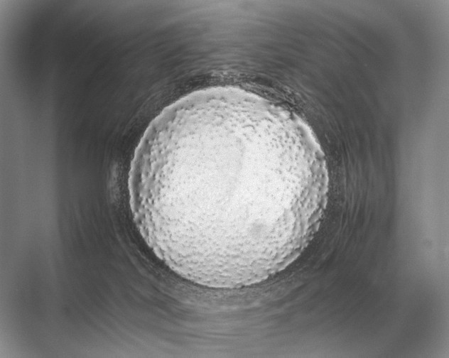 X0000067870038200605041819