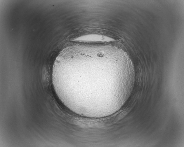 X0000067870040200605041819