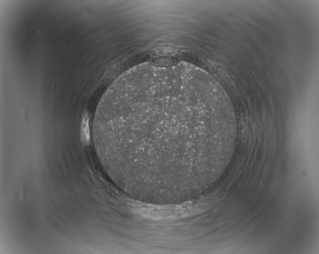 X0000067870042200605041819