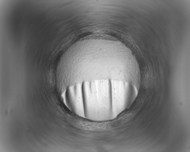 X0000067870044200605041818