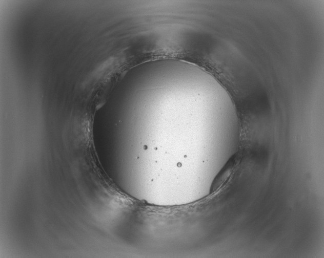 X0000067870045200605041818