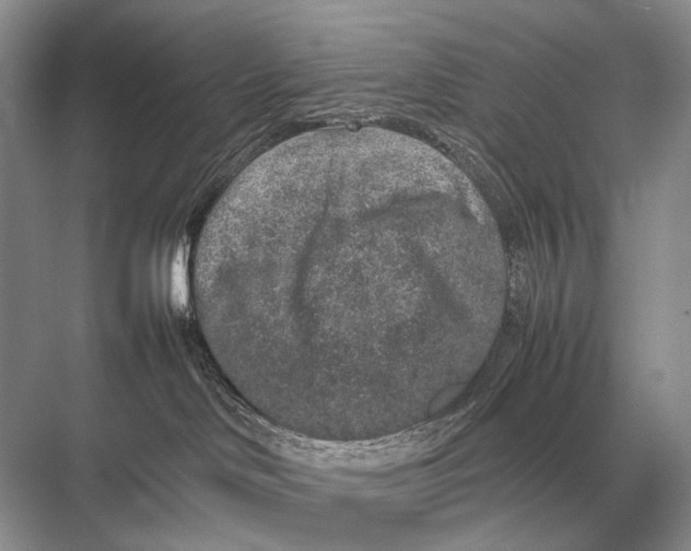 X0000067870046200605041818