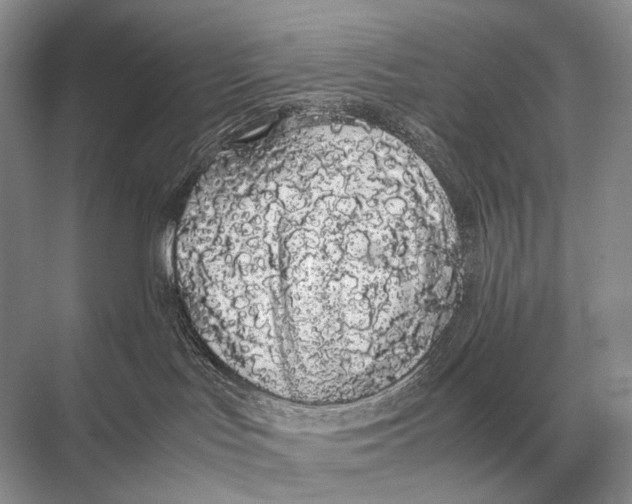 X0000067870047200605041818