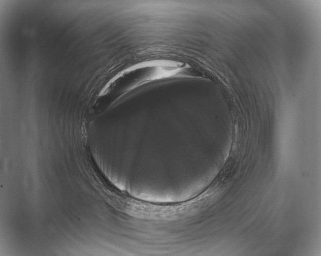 X0000067870048200605041818