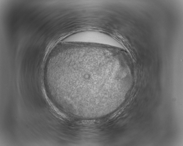 X0000067870049200605041818