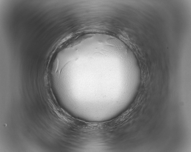 X0000067870050200605041818