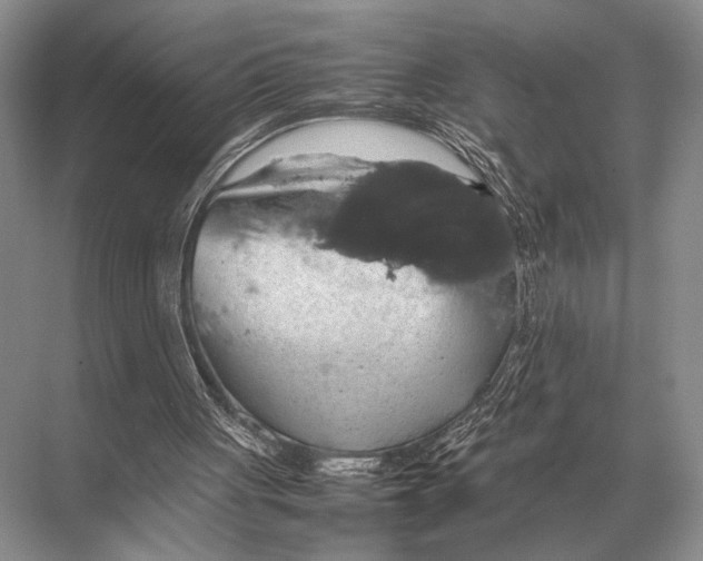 X0000067870051200605041818