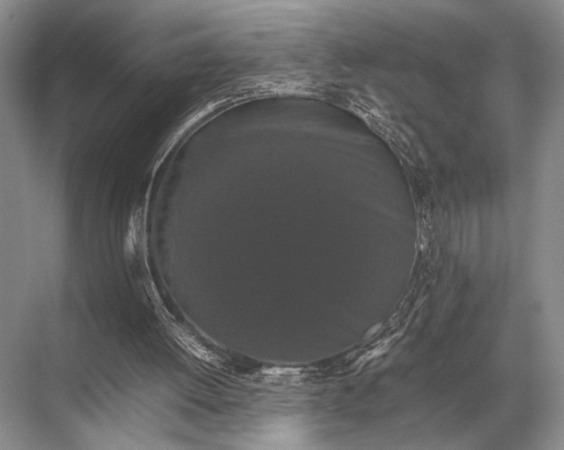 X0000067870052200605041818