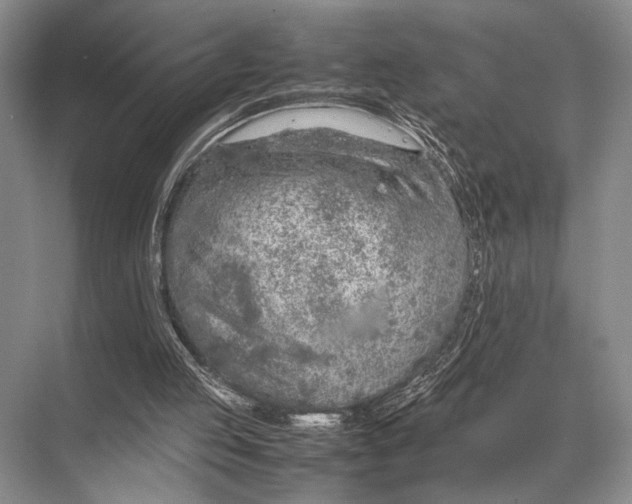 X0000067870053200605041818