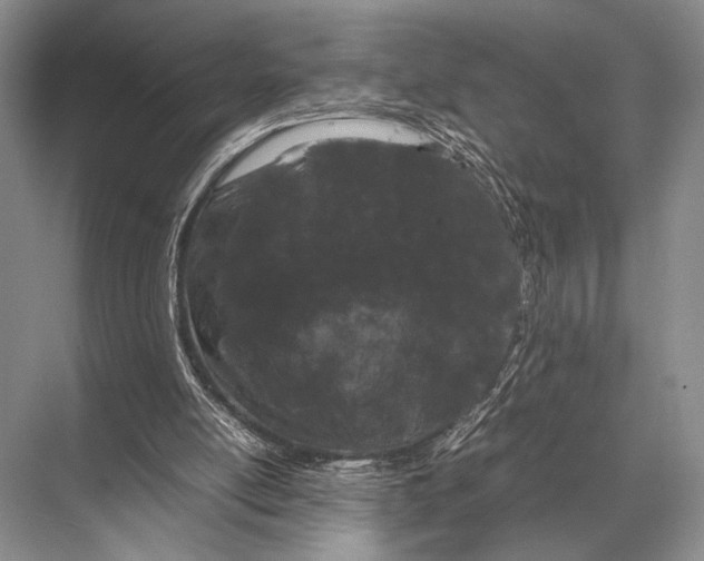 X0000067870054200605041818