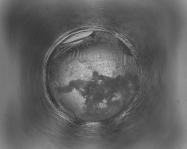 X0000067870055200605041818