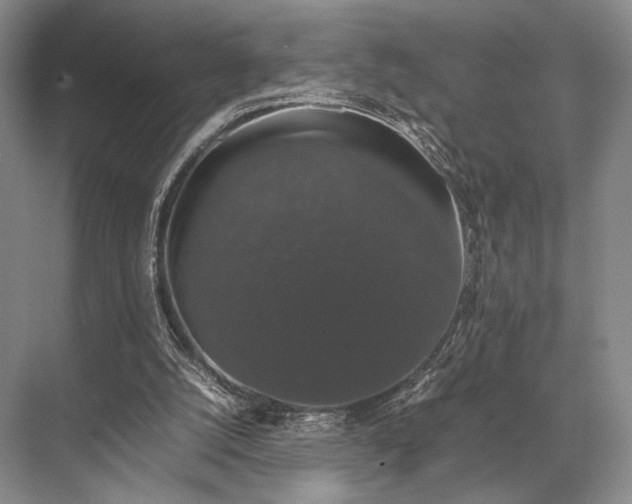 X0000067870056200605041818