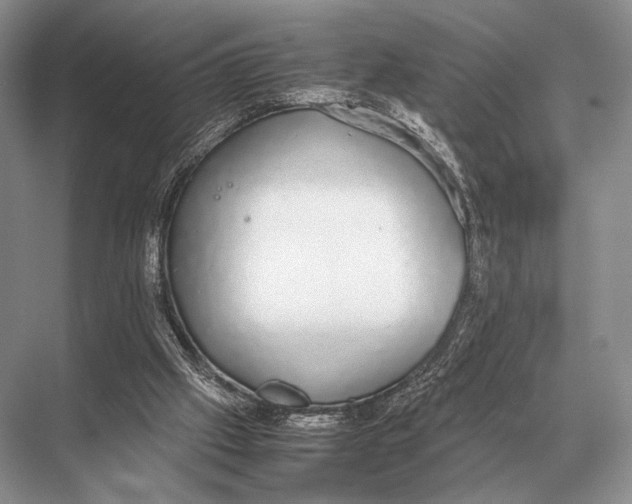 X0000067870057200605041818