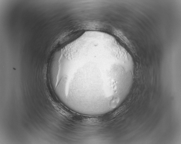 X0000067870058200605041818