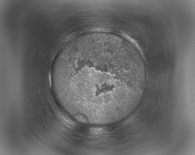 X0000067870061200605041818