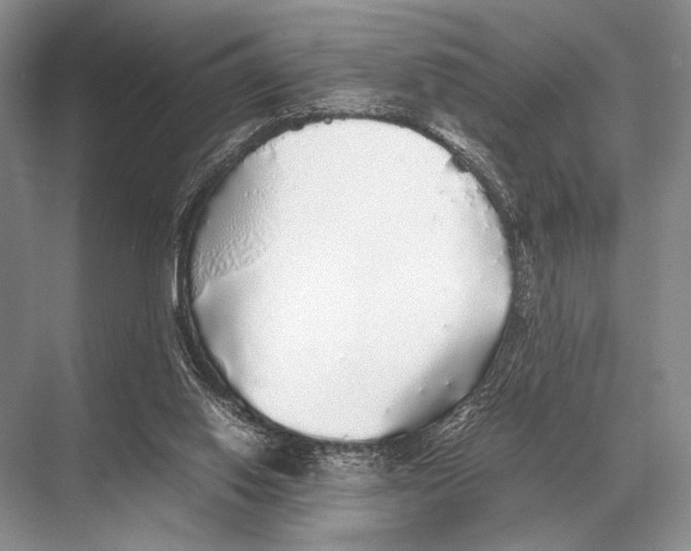 X0000067870062200605041818