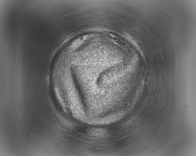 X0000067870063200605041818