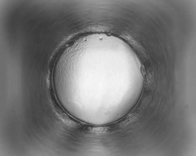 X0000067870064200605041818