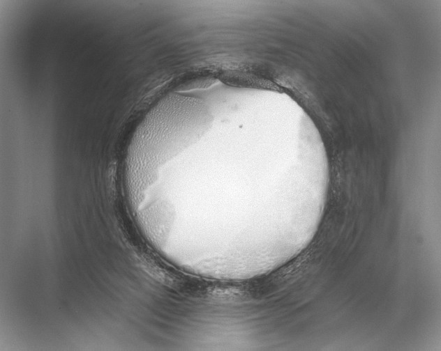 X0000067870066200605041818