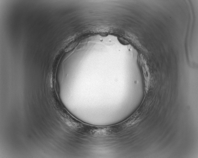 X0000067870068200605041818