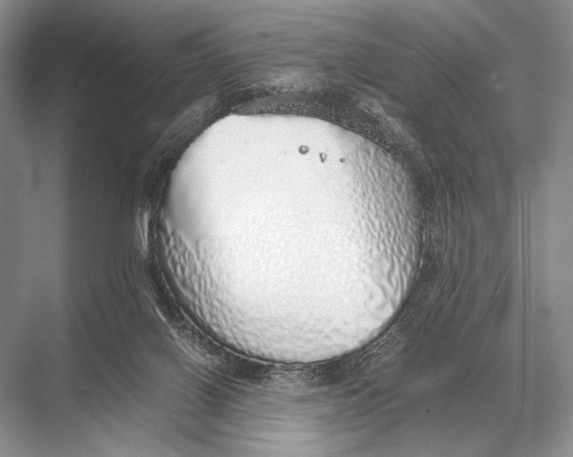 X0000067870070200605041818